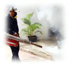 Fumugación y Extinguidores Fumugación y Extinguidores